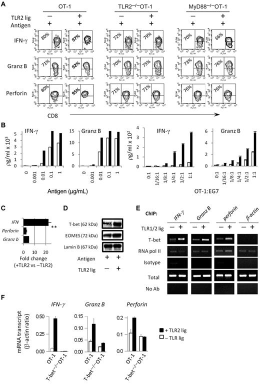 Figure 1. TLR2 stimulation on CD8 T cells increases the expression levels of effectors molecules and T bet. (A,F) Purified CD8 OT-1 T cells were activated with antigen-pulsed MyD88−/− splenocytes in each of the absence (white bar) or presence of the TLR2 agonist, Pam3Cysk4 (10 μg/mL; black bar). Four days later, the intracellular level of granzyme-B, perforin, and IFN-γ were determined by flow cytometry. (B) The production of IFN-γ and granzyme B by OT-1 T cells, in response to varying concentrations of antigen, was determined by ELISA. (C) The IFN-γ, perforin, and granzyme-B transcript levels in OT-1 T cells were determined by RT-PCR. The fold changes in gene expression are shown. (D) The protein levels of T-bet and EOMES in nuclear extracts of OT-1 T cells were determined by Western blot analysis. (E) T-bet binding to the promoter of effectors molecules was examined by ChIP assays 3 days after T-cell activation. (F) Gene expression in OT-1 or T-bet−/−OT-1 T cells was determined by RT-PCR. The data shown for panels A through D are representative of at least 4 independent experiments, each yielding similar results, whereas data shown in panels E and F are representative of 2 experiments. The fold changes in gene expression between TLR-stimulated and non–TLR-stimulated cells were analyzed by ANOVA; **P < .001, *P < .05
