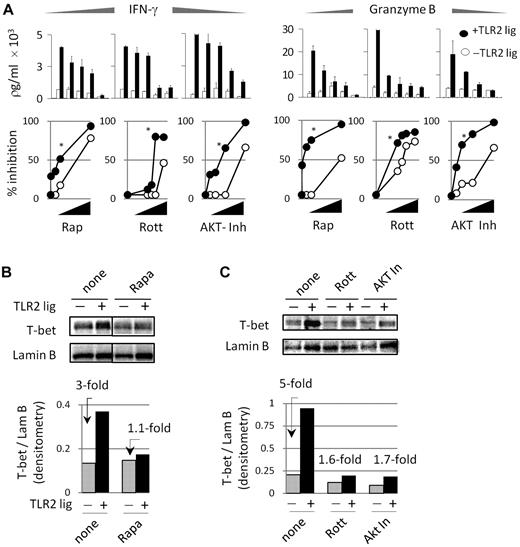 Figure 4. Suppressing the mTOR pathway inhibits the costimulatory effects of TLR2 in CD8 T cells. (A) CD8 T cells were activated as described in Figure 2. Briefly, purified T cells were activated in each of the absence or presence of TLR2 ligand for 72 hours. Various concentrations of rapamycin were added for the last 6 hours of culture. Alternatively, rottlerin and AKT inhibitor were added with or without the TLR2 ligand for the initial 18 hours of activation. After this time point, inhibitors and TLR2 ligand were washed off and T cells were cultured for an additional 54 hours. After 72 hours, the levels of IFN-γ and granzyme B were determined by ELISA. The top panels show the amount of IFN-γ and granzyme B, whereas the bottom panels show the percentage inhibition after normalizing levels to cultures that did not receive inhibitors. (B) Alternatively, T-bet protein levels were determined in the presence of rapamycin, rottlerin, or Akt inhibitor by Western blot. The fold changes in T-bet expression levels in TLR2-stimulated over non–TLR-stimulated T cells are shown.