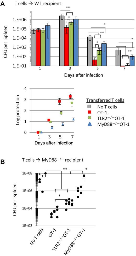 Figure 5. TLR2- or MyD88-signaling–impaired OT-1 T cells show a diminished ability to clear a L monocytogenes infection. (A) Purified OT-1, TLR2−/−OT-1, and MyD88−/−OT-1 CD8 T cells (2.5 × 105) were intravenously injected into WT mice, followed by intravenous injection with 1 × 104 CFU LM-OVA 1 day later. For the determination of bacterial burdens in mice, spleens were collected at various time points after infection and homogenized in distilled water, and serial dilutions of homogenates were cultured on BHI agar. (B) MyD88−/− mice were injected intravenously with OT-1, TLR2−/−OT-1, and MyD88−/−OT-1 CD8 T cells, followed by infection with LM-Ova 1 day later. Five days later, spleens were collected, and the bacterial plaques were counted. Circles represent CFUs per spleen of individual mice. The results shown are the combination of 3 independent experiments, with 3-4 mice per group. Crosses represent mice that succumbed to bacterial challenge before assessing bacterial load. Changes in CFUs were analyzed by ANOVA; *P < .05, **P < .001.