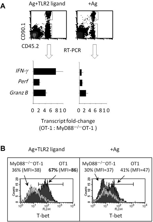 Figure 6. TLR2 stimulation on CD8 T cells in vivo augments the number of effectors gene transcripts and increases T-bet expression. (A) Purified OT-1 (CD90.1+ CD45.2+) and MyD88−/−OT-1 (CD90.2+ CD45.2+) CD8 T cells were mixed at a 1:1 ratio, and 1 × 106 T cells were injected intravenously into CD45.1+CD90.2+ mice. One day later, mice were injected intravenously with Ova157-164–pulsed CD45.1 splenocytes plus TLR2 agonist (10 μg) or Ova157-164–pulsed splenocytes alone. Five days after adoptive T-cell transfer, cells were sorted by flow cytometry, and the levels of effectors gene transcripts were determined by RT-PCR. The numbers of each transcript in OT-1 and MyD88−/−OT-1 T cells were normalized to β-actin, and fold changes of gene transcripts are shown. Error bars represent the SD from the mean of 3 PCR reactions. (B) Alternatively, intracellular T-bet protein levels in transferred T cells were determined via intracellular staining and flow cytometry. The data shown are representative of 2 independent experiments, each yielding identical trends. The fold changes in gene expression between were analyzed by ANOVA; *P < .05, **P < .001.