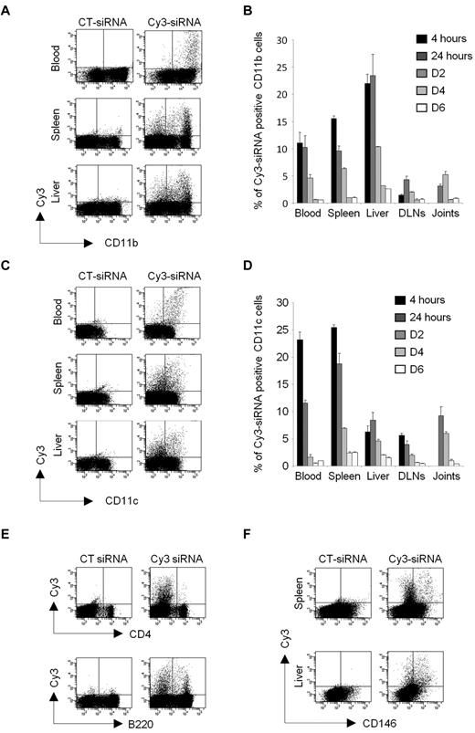 Figure 2. In vivo biodistribution and kinetics of siRNA lipoplexes after single systemic administration. Arthritic DBA/1 mice were injected intravenously with 10 μg Cy3-siRNA formulated with the cationic liposome, RPR209120/DOPE, and a DNA carrier, as described in “siRNA lipoplexes treatment.” As controls, mice were injected with a nonfluorescent control siRNA (siCT). Tissue biodistribution and mononuclear cell uptake of the Cy3-siRNAs was evaluated by flow cytometry from 4 hours to day 6 after injection using anti-CD11b (A-B), -CD11c (C-D), -B220, -CD4 (E), or anti-CD146 mAbs (F). Representative dot plots showing Cy3-positive cells for the indicated phenotypic markers and organs are shown from CT siRNA- (left panels) or Cy3-siRNA- (right panels) lipoplex-injected mice at day 2 after administration. (B-D) Histograms show percentages of Cy3-siRNA uptake within the gated CD11b (B) and CD11c (D) positive cells from the indicated time points. Data are representative of 2 independent experiments, with 3 mice enrolled in each group.
