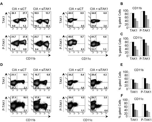 Figure 3. In vivo silencing of TAK1 expression and activity in myeloid cells. Arthritic DBA/1 mice received a single intravenous injection (0.5 mg/kg) of either anti-TAK1 siRNAs or nontargeting control siRNAs, formulated as lipoplexes. At days 2, 4, and 6 after siRNA lipoplex injection, TAK1 protein expression and phosphorylation were determined in CD11b- and CD11c-positive cells by flow cytometry after staining and permeabilization of mononuclear cells from blood (A-C) and spleen (D-F). (A,D) Representative dot plots are shown for siCT- (left panels) and siTAK1- (right panels) injected mice, 6 days after vehicle administration. Gating was performed on mononuclear cells after exclusion of doublets and dead cells. Histograms show mean percentages of TAK1 and P-TAK1 expression within the gated phenotypic markers indicated, in either blood (B-C) and spleen (E-F), at days 2 (white and black), 4 (dark gray), and 6 (light gray) after injection with either siCT- (white bars) or siTAK1- (black and gray bars) lipoplexes. Mean of cumulative data from 2 independent experiments, with 2 mice enrolled in each group are presented.