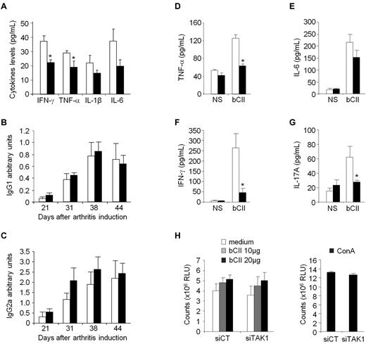 Figure 5. Effect of in vivo TAK1 gene silencing on systemic CIA hallmarks. DBA/1 mice were immunized with bovine type II collagen (CII) on day 0 and boosted on day 21. From arthritis onset, mice were weekly injected intravenously with 0.5 mg/kg of either siTAK1- (black bars) or siCT- (white bars) lipoplexes. Serum samples from the experiment shown in Figure 4B were collected overtime. (A) Serum levels of IFN-γ, TNF-α, IL-1β, and IL-6 were analyzed on day 44 by ELISA. (B-C) Anti-CII IgG1 (B) or IgG2a (C) isotype antibody levels were measured by ELISA in control- and TAK1- siRNA-treated mice. Results are expressed as arbitrary units, as described in “Anti–type II collagen assays.” (D-G) At euthanasia, splenocytes from the different groups were collected, and isolated cells were either not stimulated (NS) or stimulated with bCII antigen (20 μg/mL). Levels of TNF-α (D), IL-6 (E), IFN-γ (F), and IL-17A (G) were determined by ELISA after 24 hours of culture. (H) Splenic T cells were stimulated with increasing concentrations of bCII. As a positive control, splenocytes were stimulated with concanavalin A (5 μg/mL). Antigen-specific T-cell proliferation was quantified by the CellTiter-Glo luminescent cell viability assay 3 days later. Results are the mean ± SEM of 7-8 mice per group and are representative of 3 separate experiments. * P < .05, ** P < .01.