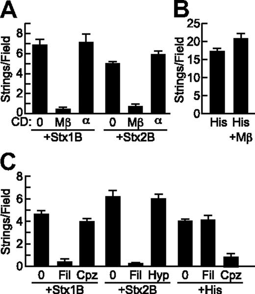Figure 5. StxB-induced VWF secretion requires cholesterol but not clathrin. (A) HUVECs were incubated without (0) or with 10 mg/mL methyl-β-cyclodextrin (Mβ) or α-cyclodextrin (α) for 15 minutes at 37°C before perfusion with Stx1B or Stx2B (200 ng/mL; A) or histamine (100μM; B) and quantification of VWF strings. (C) HUVECs were preincubated without or with 1 μg/mL filipin (Fil) or 5 μg/mL chlorpromazine (Cpz) for 1 hour at 37°C, or with hypertonic medium containing 0.45M sucrose (Hyp) for 30 minutes at 37°C, perfused with Stx1B or Stx2B (200 ng/mL), and VWF strings were quantified. These experiments were conducted 3 times with similar results. Values are shown as mean ± SE.