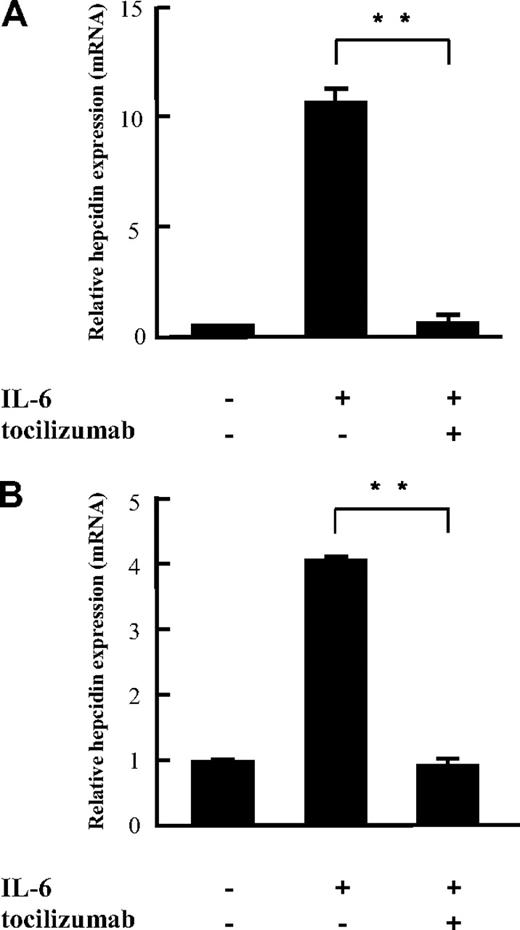 Figure 1. Inhibitory effects of tocilizumab on IL-6–induced hepcidin mRNA expression in vitro. Tocilizumab (25 μg/mL) was incubated with PLC/PRF/5 (A) and Hep3B (B) hepatocyte cell lines for 30 minutes before IL-6 (10 ng/mL) stimulation. Hepcidin mRNA was assayed with quantitative real-time PCR 24 hours after IL-6 stimulation. The figures show mean ± SD of triplicate measurements. The same experiment was repeated at least 3 times with consistent results, and representative data are shown. **P < .01 by paired t test.