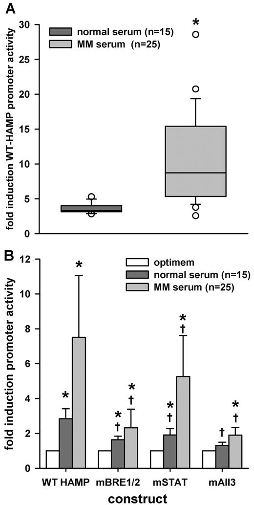 Figure 5. Effect of MM patient sera on HAMP promoter activity. HuH7 cells were cotransfected with WT-HAMP, mSTAT, mBRE1/2, or mAll3 promoter-firefly luciferase construct, together with pTK-RL construct, and treated with 10% serum in Optimem. After 6 hours, cells were lysed and luciferase activity was measured. (A) Treatment with MM patient sera caused a significantly higher induction of WT-HAMP promoter activity, compared with sera from healthy individuals. Results are expressed as fold induction over untreated control. Statistical significance was determined with the Mann-Whitney rank-sum test. Boxes represent median and 25-75 percentiles, and whiskers represent 10 and 90 percentiles. Circles are outliers; *P < .05, compared with normal sera. (B) Mutation of BREs abrogated induction by MM sera dramatically, while the STAT3-BS mutation had a statistically less significant effect. Results are expressed as fold induction over untreated control (construct/optimem). Bars represent mean ± SD. Statistical significance was determined with 1-way ANOVA to compare the same sera for the different mutations. To compare MM patient sera with normal sera within the same construct, the Mann-Whitney rank-sum test was used; *P < .05, compared with untreated control (construct/optimem), and †P < .05, compared with WT-HAMP promoter activity for the same sera.