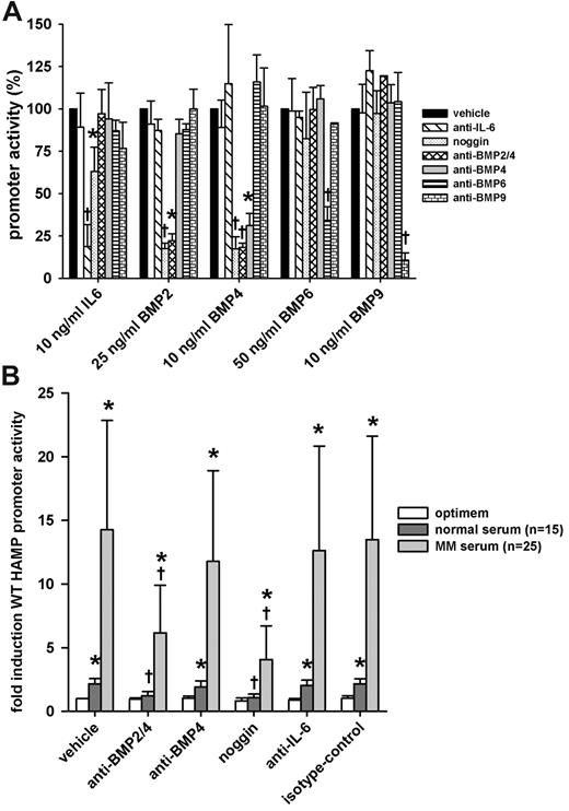 Figure 6. Effect of cytokine inhibitors on the induction of HAMP promoter activity by MM patient sera. HuH7 cells were cotransfected with WT-HAMP promoter-firefly luciferase construct and pTK-RL construct. Next, cells were treated with indicated doses of cytokines or 10% serum with or without cytokine inhibitors. After treatment, cells were lysed and luciferase activity was measured. (A) Specificity array of the cytokine inhibitors. All results are expressed as percentage promoter activity. Bars represent mean ± SD of at least 3 independent experiments executed in duplicate. Statistical significance was determined with the Student t test or Mann-Whitney rank-sum test; *P < .05, and †P < .001, compared with the cytokine-only group (cytokine/vehicle). (B) The effect of cytokine inhibitors on the induction of the WT-HAMP promoter by MM or healthy sera. Anti–BMP-2/4 and noggin-Fc significantly reversed the stimulatory effect of MM sera. Results are expressed as fold induction over untreated control (vehicle/optimem). Bars represent mean ± SD. Statistical significance was determined with 1-way ANOVA to compare the same sera for the different cytokine inhibitors. To compare MM patient sera with normal sera within the same group, the Mann-Whitney rank-sum test was used; *P < .05, compared with untreated control (vehicle/optimem), and †P < .05, compared with serum only group (vehicle/serum).