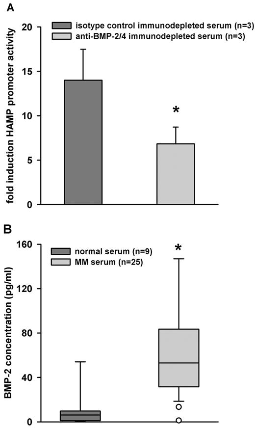 Figure 7. BMP-2 is present in MM sera. (A) MM sera (n = 3) were immunodepleted with anti–BMP-2/4 or isotype-control antibody. Depleted sera were used to treat HuH7 cells that had been transfected with WT-HAMP promoter-luciferase construct. After treatment, cells were lysed and luciferase activity was measured. Bars represent mean ± SD. Statistical significance was determined with the Student t test; *P < .001. (B) ELISA assay was used to measure BMP-2 values in normal (n = 9) and MM sera (n = 23). As expected, MM sera contained higher amounts of BMP-2, then normal sera. Bars represent mean ± SD. The Mann-Whitney rank-sum test was used to determine statistical significance, and *P < .001.