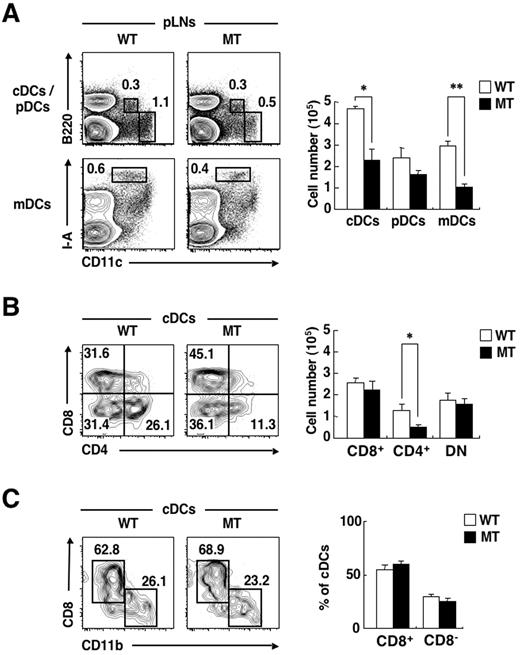 Figure 2. Deficiency of CD4+ cDCs and mDCs in pLNs of SIRPα MT mice. (A-B) Cells prepared from pLNs of WT or SIRPα MT mice were incubated with a biotin-conjugated mAb to CD4. The cells were also stained with PE-conjugated streptavidin, an APC-conjugated mAb to CD11c, an APC-Cy7–conjugated mAb to B220, an FITC-conjugated mAb to CD8 or to I-A, and PI. The expression of CD11c and either B220 or I-A on PI-negative cells (A) and that of CD4 and CD8 on cDCs (B) were analyzed by 5-color flow cytometry (left panels). The relative numbers of cDCs, pDCs, or CD11cint I-Ahigh mDCs are expressed as a percentage of all viable cells from pLNs in each plot (A), as are the relative numbers of CD8+, CD4+, or DN cDCs among all cDCs (B). The absolute numbers of cDCs, pDCs, and mDCs (A) or of CD8+, CD4+, or DN cDCs (B) in pLNs were also determined (right panels); data are means ± SE for 3 mice per group and are representative of 3 independent experiments. *P < .05, **P < .01 (Student t test). (C) A DC-enriched, low-density fraction of thymocytes from WT or SIRPα MT mice was incubated with a biotin-conjugated mAb to CD11b. The cells were also stained with an FITC-conjugated mAb to CD8, PE-conjugated streptavidin, an APC-conjugated mAb to CD11c, an APC-Cy7–conjugated mAb to B220, and PI. The expression of CD11b and CD8 on cDCs was analyzed by 5-color flow cytometry (left panel). The relative numbers of CD11bhigh CD8− and CD11blow CD8+ cells are shown as a percentage of all viable cDCs of the thymus on each plot. The percentage of such CD8+ or CD8− cDCs among viable cDCs was also determined (right panel); data are means ± SE for 3 mice of each group and are representative of 3 independent experiments.