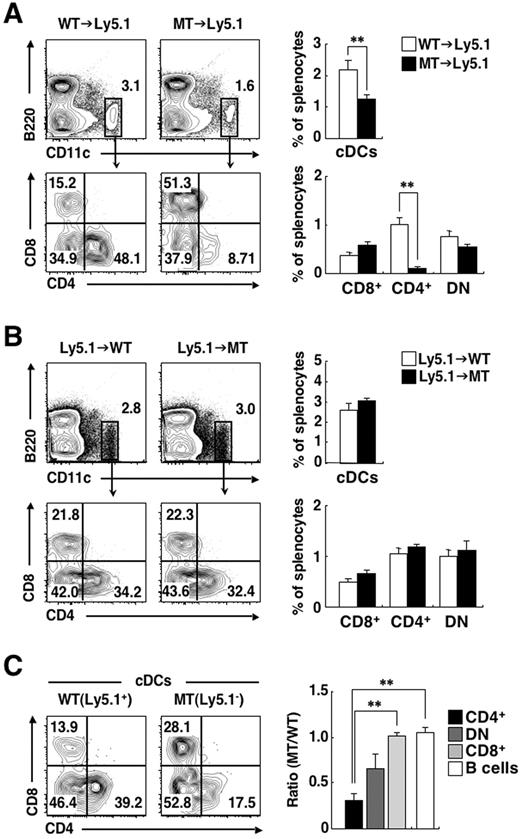 Figure 3. Intrinsic requirement of SIRPα for cDC homeostasis in the spleen. (A-B) B6-Ly5.1 mice were lethally irradiated and then reconstituted with 5 × 106 BM cells from WT or SIRPα MT mice (A). Conversely, WT or SIRPα MT mice were lethally irradiated and reconstituted with 5 × 106 BM cells from B6-Ly5.1 mice (B). Next, 6-8 weeks after transplantation, splenocytes from each chimera were incubated with a biotin-conjugated mAb to CD4. The cells were also stained with an FITC-conjugated mAb to CD8, PE-conjugated streptavidin, a PE-Cy7–conjugated mAb to Ly5.1, an APC-conjugated mAb to CD11c, an APC-Cy7–conjugated mAb to B220, and PI. The expression of CD11c and B220 on PI-negative cells or that of CD4 and CD8 on cDCs was analyzed by 6-color flow cytometry (left panels). The relative numbers of cDCs and of CD8+, CD4+, or DN cDCs are expressed as a percentage of all viable splenocytes or of cDCs, respectively, on each plot. The percentages of cDCs as well as of CD8+, CD4+, or DN cDCs among total splenocytes were also determined (right panels); data are means ± SE for a total of 7-9 mice in 3 independent experiments. **P < .01 (Student t test). (C) B6-Ly5.1 mice were lethally irradiated and then reconstituted with an equal mixture of WT (Ly5.1+) and SIRPα MT (Ly5.1−) BM cells. Then, 6-8 weeks after transplantation, splenocytes from the mixed chimeras were stained and analyzed as in (A). The expression of CD4 and CD8 on Ly5.1+ cDCs or Ly5.1− cDCs was analyzed by 6-color flow cytometry (left panel). The relative numbers of CD8+, CD4+, or DN cDCs are expressed as a percentage of Ly5.1+ cDCs or Ly5.1− cDCs on each plot. The ratios of the percentages of MT BM (Ly5.1−)–derived CD8+ cDCs, CD4+ cDCs, DN cDCs, or B cells (defined as CD11c−B220+ cells) among total Ly5.1− splenocytes to those of the corresponding cell types derived from WT BM (Ly5.1+) cells were also calculated (right panel). Data in the right panel are means ± SE for 3 mice per group and are representative of 2 independent experiments. **P < .01 (one-way analysis of variance, followed by Bonferroni test).