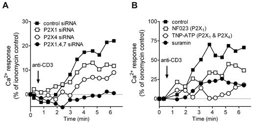 Figure 5. P2X1 and P2X4 receptors regulate Ca2+ signaling in response to TCR stimulation. Effects of silencing P2X receptors in Jurkat cells (A) or pharmacologic P2X receptor inhibition of human primary CD4+ T cells (PBMCs; B) on Ca2+ signaling. Cells were stimulated by TCR activation (0.5 μg/mL anti-CD3 antibody). The response was assessed by flow cytometry using Fluo-3 as a Ca2+ indicator. Triple silencing was carried out using one-third of siRNA per gene compared with silencing of individual genes. Graphs depict representative results from at least 3 experiments performed with cells from different donors.