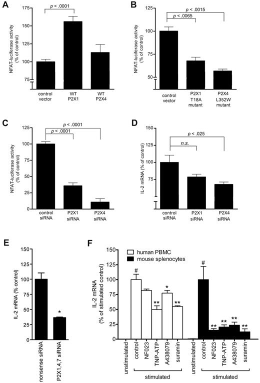 Figure 6. P2X1 and P2X4 receptors contribute to NFAT activation and IL-2 expression of T cells. NFAT activation of Jurkat cells overexpressing wild-type (A) or mutated P2X1 or P2X4 receptors (B). NFAT activation (C) and IL-2 mRNA expression (D) of Jurkat cells after silencing of P2X1 or P2X4 receptors. Cell responses were assessed after stimulation with anti-CD3/CD28 antibody-coated beads for 8 hours. (E) IL-2 mRNA expression in Jurkat cells after combined silencing of P2X1, P2X4, and P2X7 receptors. (F) IL-2 mRNA expression in human PBMCs and mouse splenocytes stimulated for 4 hours in the presence or absence of P2X1 receptor–selective (NF023, 10μM), P2X1 and P2X4 receptor–selective (TNP-ATP, 30μM), P2X7 selective (A438079, 10μM), or nonselective (suramin, 100μM) P2 receptor antagonists. #P ≤ .05 compared with resting cells, *P ≤ .05, **P ≤ .01 compared with CD3/CD28- stimulated controls.