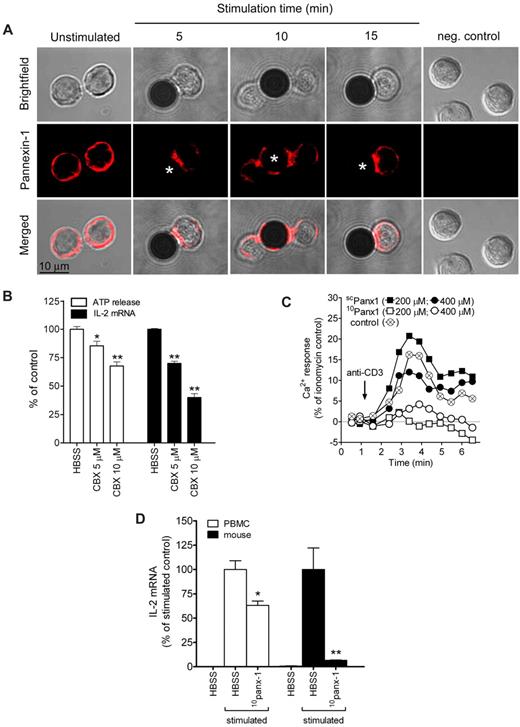 Figure 7. Pannexin-1 hemichannels facilitate ATP release at the immune synapse. Stimulation of the TCR leads to redistribution of pannexin-1 to the immune synapse (A). Treatment with the gap channel inhibitor carbenoxolone reduces ATP release and IL-2 gene transcription upon CD3/CD28 stimulation. (B). The pannexin-1 specific inhibitor 10panx-1 reduced Ca2+ entry compared with the control peptide (scpanx-1), or to CD3 stimulation without any peptide (control) in human PBMCs (C) and IL-2 transcription in human PBMCs and mouse splenocytes (D). *P ≤ .05, **P ≤ .01 compared with CD3/CD28-stimulated controls.