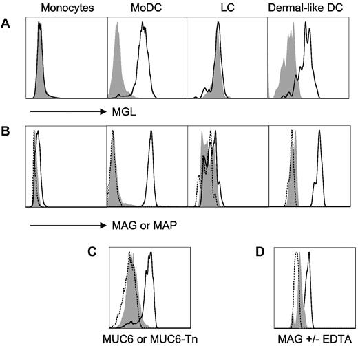 Figure 1. Tn-glycosylated antigens target human dermal DCs. Representative results from 3-5 experiments are shown in panels A, B, and D; panel C corresponds to a single experiment. Unstained cells are shown as dashed line. (A) Human monocytes, MoDCs, CD34+-derived Langerhans cells, and dermal-like DCs were tested for macrophage galactose-type lectin expression using macrophage galactose-type lectin antibodies (bold line) or isotype control antibodies (shaded gray; FACS-Aria II, BD Biosciences). (B) Alternatively, prior to FACS analysis, these cell types were incubated at 4°C, as indicated, with Alexa488-labeled glycosylated multiple antigenic glycopeptide (MAG):Tn3-TT (bold line), or unglycosylated multiple antigenic peptides (MAP):TT (shaded gray), or medium (dashed line; FluoProbes Protein Labeling Kit, Interchim). (C) Monocyte-derived DCs were incubated at 4°C with Alexa647-labeled MUC6-Tn (bold line), MUC6 (shaded gray), or medium (dashed line). (D) Incubation of MAG:Tn3-TT with dermal-like DCs was performed in the presence (shaded gray) or absence (bold line) of ethylenediaminetetraacetic acid to evaluate divalent cation-dependency binding to dermal DCs.