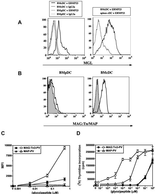 Figure 2. Multiple antigenic glycopeptide (MAG):Tn-poliovirus (PV) glycopeptide uptake and presentation is enhanced in macrophage galactose-type lectin (MGL) positive bone marrow–derived dendritic cells (BMDCs). (A) BMDCs or splenic conventional DCs (cDCs) from BALB/c mice were incubated with an anti-MGL monoclonal antibody (ERMP23 clone) or with an isotype IgG2a antibody, followed by a PE-conjugated anti–rat IgG2a antibody. MGL expression was analyzed by flow cytometry on CD11c+, CD45RA−, and CD11b+ gated cells for murine cDC (BMcDC); on CD11c+ for splenic cDC; and on CD11c+, CD45RA+, PDCA1+, and CD11b− gated cells for plasmacytoid DC (BMpDC). (B) To assess the binding capacity of BMDCs to antigens, BMpDCs and murine conventional DCs (BMcDCs) were incubated at 4°C with Alexa488-labeled glycosylated MAG:Tn3-TT (bold line), unglycosylated MAP:TT (shaded gray), or medium (dashed line). (C) MAG:Tn3-PV and nonglycosylated MAP-PV Alexa647-labeled antigen were incubated with BMDCs. We monitored internalization by flow cytometry on BMpDC (closed symbols) or BMcDC (open symbols) gated cells. Data are expressed as the mean ± SD of triplicates. Representative results from 3 experiments are presented. (D) The Tn-glycopeptide and nonglycosylated peptide were incubated with purified BMcDC (open symbols) or BMpDC (closed symbols) and the PV-specific T-cell hybridoma 45G10 T-cell hybridoma. IL-2 responses were assessed using the IL-2–dependent CTLL cell line. Data are expressed as the mean ± SD of triplicates. Representative results from 3 experiments are shown.