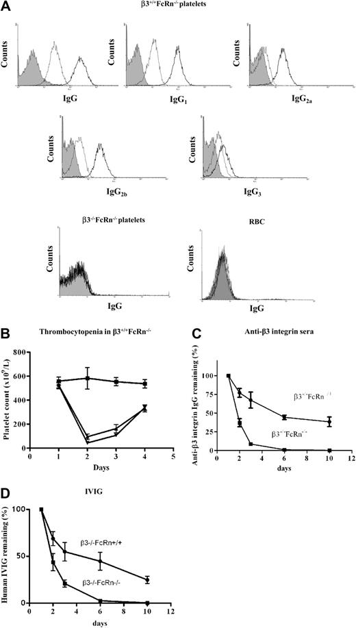 Figure 1. Anti-β3 integrin antibodies were generated in β3−/−FcRn−/− mice after immunization with β3+/+FcRn−/− platelets. (A) β3+/+FcRn−/− mouse platelets were incubated with a 1:100 dilution of sera from β3−/−FcRn+/+ mice immunized either 2 (gray) or 4 (black) times weekly or preimmune sera (filled area) and stained with FITC-conjugated goat anti–mouse IgG or rat anti–mouse IgG1, IgG2a, IgG2b, or IgG3. (B) Thrombocytopenia was observed in β3+/+FcRn−/− mice after intraperitoneal injection of 25 μL of antisera from β3−/−FcRn−/− mice transfused either 2 times (▴) or 4 times (▾) with β3+/+FcRn−/− platelets. PBS (■) was used as a control. (C) 50 μL of mouse anti-β3 integrin sera (50 μL; from 4× transfused β3−/−FcRn−/− mice) or (D) IVIG (10 μL; 10%) were injected intraperitoneally into 6- to 8-week-old β3−/−FcRn−/− or β3−/−FcRn+/+ littermate mice. The concentration of retained IgG was determined. Adult β3−/−FcRn−/− mice cleared IgG rapidly compared with β3−/−FcRn+/+ mice. n = 3-5 in each group.
