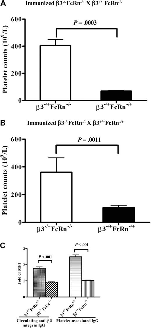 Figure 3. Fetal (but not maternal) FcRn is required for FNIT. Platelet counts in pups from breeding cages of (A) immunized β3−/−FcRn−/+ × β3+/+FcRn−/− and (B) immunized β3−/−FcRn−/− × β3+/+FcRn−/+. n = 4-9 for each group. (C) Circulating anti-β3 integrin and platelet-associated IgG were detected in β3−/+FcRn−/+ pups by flow cytometric analysis. n = 8-14 for each group.