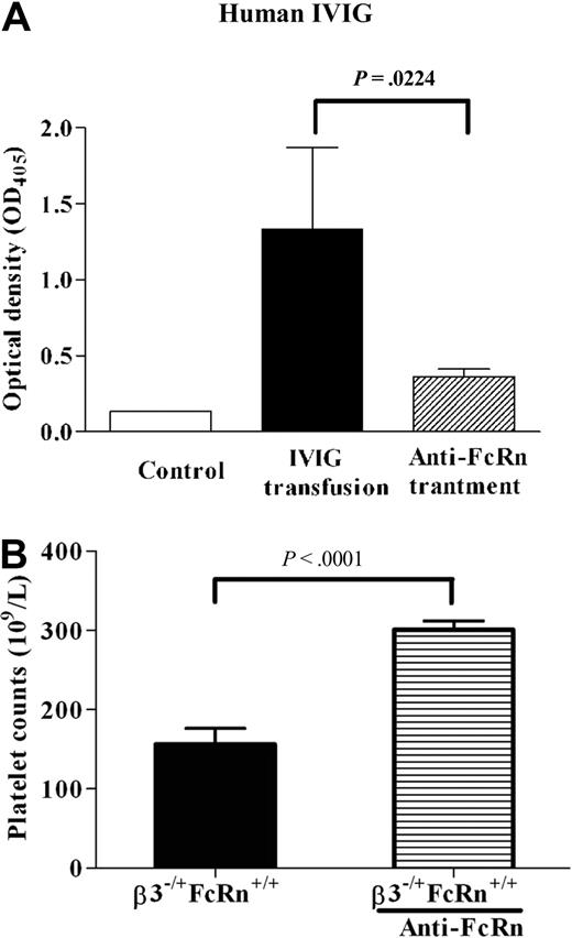 Figure 4. Anti-FcRn mAb ameliorated FNIT in pups delivered from immunized β3−/−FcRn+/+ mice. (A) Anti-FcRn mAb (5 mg/kg) was injected into pregnant β3−/−FcRn+/+ mice 1 day before IVIG transfusion (1 g/kg). The IVIG level in the pups' sera was detected by enzyme-linked immunosorbent assay. Anti-FcRn antibody blocked IVIG translocation in pregnant β3−/−FcRn+/+ mice. Sera from pups delivered from β3−/−FcRn+/+ mothers without IVIG treatment were used as a negative control. n = 2-5. (B) Anti-FcRn mAb (5 mg/kg) was injected into pregnant immunized β3−/−FcRn+/+ mice once a week until delivery. Anti-FcRn antibody ameliorated thrombocytopenia in affected pups. n = 7-11 for each group.