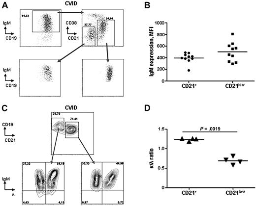 Figure 1. IgM surface expression and light chain usage in CD21low B cells. (A) Representative FACS plots for the expression of indicated B-cell markers in B cells of CVID patients (n = 10). CD19+IgM+ B cells were gated on CD21low and CD21+ naive B cells, according to CD38 and CD21 expression, and IgM surface expression was analyzed as the mean fluorescence intensity (MFI) in CD21+ and CD21low B-cell subpopulations, respectively. (B) The diagram shows no significant difference in the cell-surface expression of IgM between CD21+ and CD21low B cells in CVID. (C) Representative FACS plots demonstrate the expression of IgM and λ light chain on CD21low and naive B cells of CVID patients (n = 4). (D) The diagram shows a significantly decreased usage of κ-light chains in CD21low B cells of CVID patients compared with naive B cells of the same individuals.
