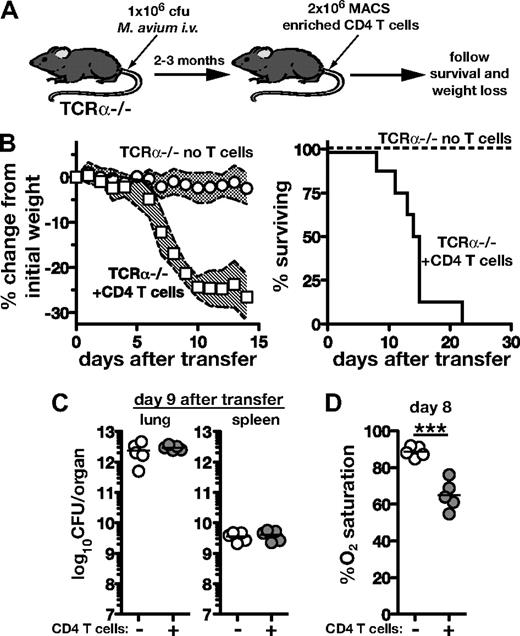Figure 1. Immune reconstitution disease in Mycobacterium avium–infected T cell–deficient mice after CD4 T-cell adoptive transfer. (A) TCRα−/− mice were infected intravenously with 1 × 106 colony-forming units of M avium. After at least 2 months, 2 × 106 CD4 T cells isolated from uninfected WT mice were transferred intravenously. (B) Mice were monitored for weight loss (n > 11 mice/group) and survival (n = 8 mice/group). The shaded area between traveling error bars represents the SD. (C) Bacterial loads were measured in the lungs and spleens of control and T cell–recipient TCRα−/− mice on day 9 of transfer. (D) Lung function was assessed by measuring percent O2 saturation using a murine pulse oximeter on day 8 after transfer. Data are representative of at least 2 independent experiments performed, and the results shown in panel B have been repeated at least 15 times.