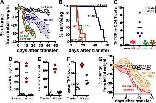 Figure 3. CD4 T cell–derived IFNγ, but not IL-4 or IL-17A, plays a major role in immune reconstitution disease of M avium–infected TCRα−/− mice. Totals of 2 × 106 WT, IL-4−/−, IL-17A−/−, or IFNγ−/− CD4 T cells were transferred into M avium–infected TCRα−/− mice (n = 5 mice/group), as described in Figure 1, and (A) weight loss and (B) survival were monitored. The data shown in (A) are representative of 2-3 independent experiments, while the survival curves shown in (B) represent 9 mice pooled from 2 independent experiments. (C) TCRβ+CD4+ cells were measured in the PBMCs of the mice shown in panels A and B on day 9 after transfer. (D) IFNγ was measured by ELISA in the serum of the same animals on day 10 after transfer. (E) Levels of nitrate were measured in the same sera using a nitrate reductase assay, and TNFα levels (F) were determined by ELISA. (G) M avium–infected TCRα−/− mice were reconstituted with WT CD4 T cells and then treated with anti-TNFα–neutralizing Ab or isotype control Ab on days 0, 3, 6, 9, and 12 after transfer, and weight loss was monitored. The data shown for each panel are representative of at least 2 independent experiments. In panels A and G, the shaded area between the traveling error bars represents the SD.