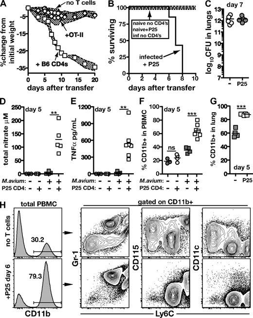 Figure 5. CD4 T cells specific for M avium can drive immune reconstitution disease. (A) M avium–infected TCRα−/− mice received CD4 T cells (2 × 106 each) isolated from uninfected WT or OT-II mice. The shaded area between the traveling error bars represents the SD. (B) Uninfected or M avium–infected TCRα−/− mice received P25 (Ag85b specific TCR Tg) CD4 T cells (2 × 106) or no T cells, and survival was monitored. (C) Bacterial loads in the lungs of infected mice from panel B 7 days after transfer of P25 CD4 T cells. (D) Total nitrate and (E) TNFα were measured in the serum of mice from panel B on day 5 of P25 transfer. (F) CD11b+ cells were measured in the blood and (G) lung of mice from panel B on day 5 of P25 transfer. (H) Phenotype of CD11b+ cells in the PBMC of M avium–infected TCRα−/− mice on day 6 of P25 transfer.