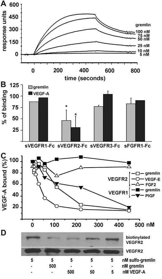 Figure 1. Gremlin binds VEGFR2. (A) sVEGFR2D1-7 (Calbiochem) was immobilized at approximately .083 pmol/mm2 to a CM5 sensorchip (BIAcore) that was previously activated with a mixture of 0.2M N-ethyl-N′-(3-dimethylaminopropyl)-carbodiimide hydrochloride and 0.05M N-hydroxysuccinimide (35 μL; flow rate: 10 μL/min). Increasing concentrations of gremlin were injected in HBS-EP buffer (BIAcore) for 4 minutes (sample volume: 40 μL; flow rate: 5 μL/min; dissociation time: 4 minutes). The response (in response units) was recorded as a function of time. An overlay plot is shown of all sensorgrams after subtraction of their respective control sensorgrams. Binding parameters, calculated by the nonlinear-curve–fitting software package BIAevaluation 3.2 (BIAcore Inc) applied to all sensorgrams simultaneously using a single-site model with drifting baseline, indicate that gremlin/VEGFR2 interaction occurs with Kd = 47 ± 15nM. Under the same experimental conditions, VEGF-A/VEGFR2 interaction occurs with Kd = 3 ± 1nM. (B) Gremlin (25nM) was injected over the sVEGFR2-coated sensor chip in the absence or in the presence of soluble sVEGFR1-Fc, sVEGFR2-Fc, sVEGFR3-Fc, or sFGFR1-Fc (all at 314nM). Binding data were plotted as percentage of maximal bound analyte (recorded at the end of injection) and represent the mean of 2-3 independent experiments. (C) Ninety-six–well plates coated with 100 μL of 250 ng/mL sVEGFR1-Fc or sVEGFR2-Fc were incubated with VEGF-A (20 ng/mL dissolved in phosphate-buffered saline containing 0.1% BSA, 5.0mM (ethylenedinitrilo)tetraacetic acid, 0.004% Tween 20 in presence of different competitors and incubated for 1 hour at 37°C followed by 1-hour incubation at room temperature. Bound VEGF-A was detected with an anti–human VEGF monoclonal antibody (R&D Systems). Gremlin competes with VEGF-A for the binding to immobilized sVEGFR2-Fc (□) in a competitive ELISA for which VEGF-E (○) and FGF2 (▵) were used as positive and negative controls, respectively. At variance, gremlin did not compete with VEGF-A for the binding to immobilized sVEGFR1-Fc (■), whereas placenta growth factor (PGIF) (▾) was fully effective. (D) HUVECs were incubated with 5.0nM gremlin conjugated with the bifunctional photoactivable biotin-label transfer cross-linker Sulfo-SBED Biotin Label transfer reagent (Pierce) (sulfo-gremlin) in the absence or in the presence of a molar excess of unlabeled gremlin or VEGF-A. After ultraviolet irradiation, cell lysates (1.0 mg of protein) were immunoprecipitated with anti-VEGFR2 antibody (Santa Cruz Biotechnology), separated on a sodium dodecyl sulfate–polyacrylamide gel electrophoresis gel under reducing conditions and probed with streptavidin–horseradish peroxidase to visualize the biotin–VEGFR2 complex. Uniform loading of the gel was confirmed by probing the membrane with the anti-VEGFR2 antibody.