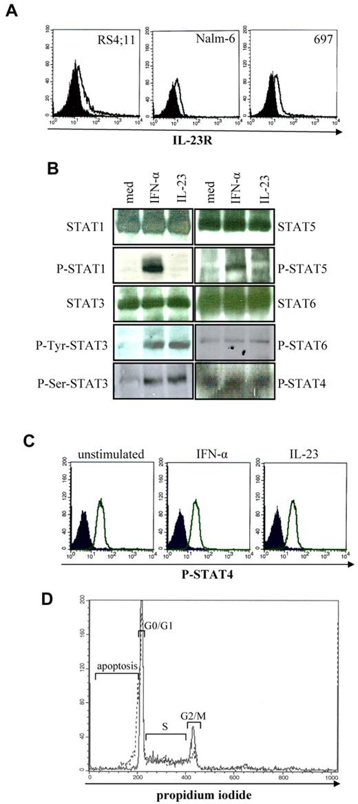 Figure 4. Expression of IL-23R and activity of IL-23 in B-ALL cell lines. (A) IL-23R surface expression in human B-ALL cell lines as assessed by flow cytometry. Open profile: IL-23R staining; dark profile: isotype-matched mAb staining. (B-C) Analysis of STAT pathway in 697 cells stimulated 30 minutes with IL-23 or of IFN-α (positive control), as assessed by Western blot (B) and flow cytometry (C). (D) Flow cytometric analysis of cell cycle in 697 cells cultured 48 hours with or without IL-23. Unbroken profile: 697 cells cultured with medium alone; dashed profile: 697 cells cultured in the presence of IL-23.