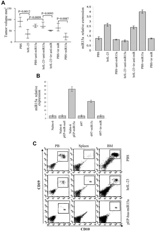 Figure 7. Effects of miR15a silencing and overexpression on tumorigenicity of B-ALL cells. (A) Left panel: volume of tumors grown in PBS- and hrIL-23–treated animals 14 days after intravenous injection of 697 cells transfected or not with anti-miR15a, irrelevant (irr) anti-miR, miR15a, or irrelevant pre-miR precursor (irr miR). Differences in tumors size were evaluated by the Mann-Whitney U test. Whisker lines represent highest and lowest values, horizontal lines represent median values. Right panel: relative quantification of miR15a expression in tumors explanted from PBS- or hrIL-23–treated animals injected with 697 cells transfected or not with anti-miR15a, irrelevant (irr) anti-miR, miR15a, or irrelevant pre-miR precursor. (B) Relative quantification of miR15a in wild-type and transfected Nalm-6 or 697 cells before injection. (C) Analysis of leukemic cell spreading in peripheral blood, spleen, and BM from hrIL-23– or PBS-treated mice injected intravenously with Nalm-6 cells transfected or not with pEP-has–-miR15a or pEP–miR-null (not shown). Analysis was performed 5 weeks after tumor cell inoculation. Nalm-6 cells were identified as human CD10+/CD19+ cells. One representative staining is shown.