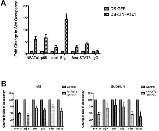 Figure 5. Recruitment of Brg-1 and other factors to the c-myc promoter by NFATc1. (A) DLBCL DS cells (NFATc1−) were infected with a retroviral vector containing a mutant NFATc1 (caNFATc1-GFP) or vector containing only GFP (negative control). After 48 hours of incubation, cells were fixed and analyzed for protein binding to the NFAT DNA-binding site in the c-myc promoter by ChIP–Q-PCR with antibodies to NFATc1, p65, c-rel, Brg-1, Brm, STAT3, and IgG (negative control). The data were analyzed by the ChIP–Q-PCR Data Analysis Template. Data represent 3 independent experiments. (B) DLBCL MS and SUDHL-4 cells (NFATc1+) were transfected with the NFATc1 shRNA plasmid or control vector. Forty-eight hours after transfection, cells were fixed and analyzed for protein binding to the NFAT DNA-binding site in the c-myc promoter by ChIP–Q-PCR with antibodies to NFATc1, p65, c-rel, Brg-1, Brm, STAT3, and IgG (negative control). The data were analyzed by the SuperArray ChIP–Q-PCR Data Analysis Template. Data represent 3 independent experiments.
