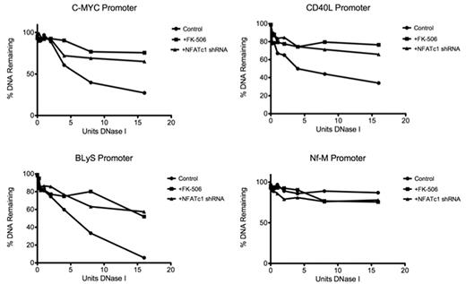Figure 6. NFATc1 induces DNase I in target gene promoters in DLBCL. Plots of the DNase I digestion of control and FK-506-treated or NFATc1 shRNA-transfected DLBCL MS cells for promoters of c-myc, CD40L, BLyS, and Nf-M (a known DNase I–resistant locus). Standard curves were used to calculate the percentage of copies of the promoter's amplicon remaining in 50 ng of DNase I–treated genomic DNA.
