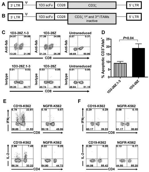 Figure 1. Anti-CD19 CARs were expressed by T cells and specifically recognized murine CD19. (A) Diagram of the DNA encoding the 1D3-28Z CAR (ψ, retroviral packaging signal). (B) Diagram of the DNA encoding the 1D3-28Z.1-3 CAR. (C) Splenic T cells were placed in culture with anti-CD3/anti-CD28 beads. The cells were transduced 1 day later with retroviruses encoding 1D3-28Z.1-3 or 1D3-28Z. The transduction was repeated the next day. The third day after culture initiation, the cells were analyzed for CAR expression by staining with anti–rat Fab antibodies (top row) or isotype control antibodies (bottom row). Other cells were cultured and analyzed identically but left untransduced. The plots are gated on CD3+ cells, which made up greater than 98% of the total cells in the cultures. The numbers on the plots are the percentages of cells in each quadrant. Data are representative of 5 experiments. (D) T cells from 3 different mice were transduced separately with retroviruses encoding either 1D3-28Z.1-3 or 1D3-28Z. The mean percentages of CAR-expressing CD3+ cells that were apoptotic as indicated by staining with annexin V after 7 days of culture are shown. (E) Splenic T cells were cultured and transduced with 1D3-28Z.1-3 or cultured identically but not transduced. (F) The third day after the cultures were initiated, the T cells were stimulated with either the CD19+ cell line CD19-K562 or the CD19− cell line NGFR-K562. Intracellular cytokine staining for IFN-γ and IL-2 was carried out. The plots are gated on CD3+ cells, and the numbers on the plots are the percentages of cells in each quadrant. Results are representative of 2 experiments.