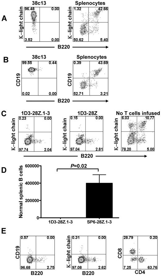 Figure 4. Anti-CD19 CARs eradicated lymphoma cells and normal B cells. (A) The 38c13 lymphoma expressed κ light chain but not B220. In contrast, normal splenocytes did not have a substantial population of cells that expressed κ light chain but not B220. Almost all normal B cells expressed both κ light chain and B220. The numbers on the plots are the percentages of live cells in each quadrant. (B) The 38c13 lymphoma expressed CD19 but not B220. Normal splenocytes did not have a substantial population of CD19-expressing B220− cells. Normal B cells are CD19+B220+. The numbers on the plots are the percentages of live cells in each quadrant. (C) Mice received 5 Gy of TBI, and later the same day the mice were injected intraperitoneally with 38c13 cells. One day after the lymphoma injection, groups of mice were injected intravenously with either 1D3-28Z.1-3-transduced T cells or 1D3-28Z–transduced T cells. Each mouse was injected with 6 × 106 total T cells. The mice received IL-2 once daily on the day of T-cell transfer and the next day. A control group that did not receive any T cells was also included. Eight days later, the mice were killed and splenocytes were analyzed by flow cytometry. The plots are gated on live lymphocytes. The numbers on the plots are the percentages of live cells in each quadrant. Nearly identical results were obtained in 2 separate experiments in which 5 mice were injected with either 1D3-28Z.1-3–transduced T cells or 1D3-28Z–transduced T cells. (D) Mice received 5 Gy of TBI, and later the same day the mice were injected intraperitoneally with 38c13 cells. The next day, groups of mice were injected intravenously with T cells that were transduced with either the anti-CD19 CAR 1D3-28Z.1-3 or the negative-control CAR SP6-28Z.1-3. The mice received IL-2 once daily on the day of T-cell transfer and the next day. The mice were killed 8 days after T-cell transfer. Splenocytes were stained with anti-κ light chain and B220 to detect normal B cells. The graph summarizes the numbers of splenic B cells from mice in a single experiment in which 3 mice received 1D3-28Z.1-3–transduced T cells and 4 mice received SP6-28Z.1-3–transduced T cells. Nearly identical results were obtained in 2 separate experiments. (E) Mice were irradiated and then injected intraperitoneally with 38c13 lymphoma. The next day, the mice received 1D3-28Z.1-3–transduced T cells. The mice received IL-2 on the day of T-cell transfer and the next day. One hundred forty-three days later, the mice were killed and splenocytes were analyzed for B cells and T cells by flow cytometry. A representative example of 5 mice tested is shown. The CD19 versus B220 plot and the κ light chain versus B220 plot are gated on live lymphocytes. The CD8 versus CD4 plot is gated on CD3+ cells. The numbers on the plots are the percentages of cells in each quadrant.