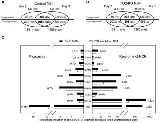 Figure 3. Number of genes (and entities) regulated by ATRA in differentiating control and TG2 knockdown NB4. (A-B) Number of annotated genes (and all entities in parentheses) regulated by ATRA in control NB4 (A) and in TG2-KD NB4 cells (B) are visualized as a Venn diagram. Two-fold change difference was set, and significantly changed genes were selected (P ≤ .05 and Bonferoni Multiple Correction was used). The numbers of up- and down-regulated genes are separated. Genes significantly regulated at the both stages of the differentiation (day 2 and day 3) are presented in the overlapping region of Venn diagram (in bold). Note that among the genes up-regulated in both stages of the differentiation in TG2-KD NB4 cells, almost 100 (307-209) genes were not up-regulated, whereas approximately 250 (1059-808) genes were not down-regulated compared with the control cells. (C) Real-time Q-PCR verification of microarray data. Fold change induction of 10 selected genes upon ATRA-treatment in control (black bars) and TG2-KD cells (white bars) are shown among the X-axis on the third day of differentiation. Left panel shows the results obtained from the microarray analysis, and right panel demonstrates a representative expression pattern of the same genes determined by real-time Q-PCR. The genes analyzed were the cell surface antigen CD36, the RARα, the TGFβ, the intercellular adhesion molecule 3 (ICAM3), the cell surface antigen CD11c/integrin αX (CD11c/ITGAX), the thrombospondin-1 (THBS1), the MER receptor tyrosine kinase (MERTK), the CC chemokines CCL3 and CCL22, and the TG2. Ratios of fold change differences of analyzed genes in the TG2-KD NB4 cells and the control cells are presented.