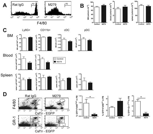 Figure 1. Effect of anti-CSF1R mAb treatment on myeloid populations within lymphoid tissues. (A) Peritoneal lavage cells from anti-CSF1R and rat IgG-treated mice stained with phycoerythrin (PE)–conjugated F4/80. Bone marrow, blood, and splenocytes were counted (B) and cell populations enumerated using 3-color flow cytometry (C). (D) Flow cytometric analysis of EGFP, F4/80, and Gr-1 expression on blood mononuclear cells. In the top panel, the R3 gate contains monocytes that express 3-4-fold higher F4/80 and csf1r-EGFP, and are completely absent after antibody treatment. In the bottom panel, the R2 gate contains granulocytes, which express both Gr1 and csf1r-EGFP. These cells can also be seen in the top panel, ungated, expressed csf1r-EGFP, but not F4/80. The R3 gate contains Gr1-positive monocytes, and the R4 gate, Gr1-negative monocytes. Histograms at right compare the frequency of EGFP+F4/80high and EGFP+Gr-1neg in blood from rat IgG and anti-CSF1R treated MacGreen mice (white and black bars, respectively). Results shown are from 1 of 2 independent experiments, where n = 4-5 animals per group. A value of P < .05 was considered statistically significant (*).