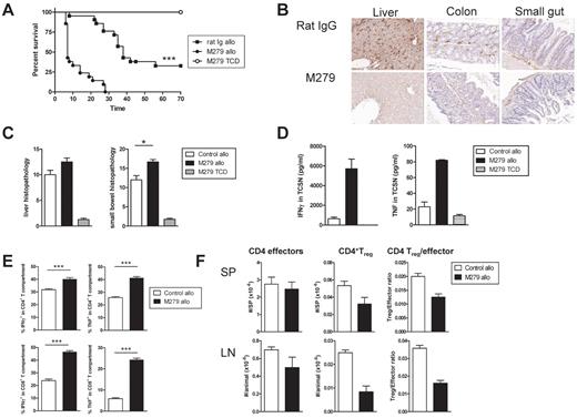 Figure 6. Treatment with anti-CSF1R exacerbates acute GVHD. (A) Survival by Kaplan-Meier analysis. Irradiated anti-CSF1R and rat IgG mAb-treated B6D2F1 recipients were transplanted with BM and T cells from C57Bl/6 mice as described in supplemental Methods (rat IgG allo and anti-CSF1R allo; n = 21/treatment). Irradiated anti-CSF1R–treated B6D2F1 received TCD BM and served as non-GVHD controls (n = 8). ***P < .0001, rat IgG allo vs anti-CSF1R allo. (B) F4/80 staining in liver, colon, and small gut taken from rat IgG allo and anti-CSF1R allo recipients 7 days after transplantation. (C) Liver and gut histopathology was determined by semiquantitative histology as described in supplemental Methods. (D) Unfractionated splenocytes from rat IgG allo and anti-CSF1R allo recipients 7 days after transplantation were cultured with CD3 and IFNγ and TNF determined in 24-hour tissue-culture supernatant or (E) cultured with CD3 and brefeldin and IFNγ and TNF measured by intracellular cytokine staining. (F) CD4+FoxP3− T effectors and CD4+FoxP3+ Treg were enumerated in spleens and lymph nodes from rat IgG allo and anti-CSF1R allo recipients 7 days after transplantation. In all histograms, the white bar represents rat IgG allo recipients; the black bar, anti-CSF1R allo recipients; and the hatched bar, anti-CSF1R TCD recipients.