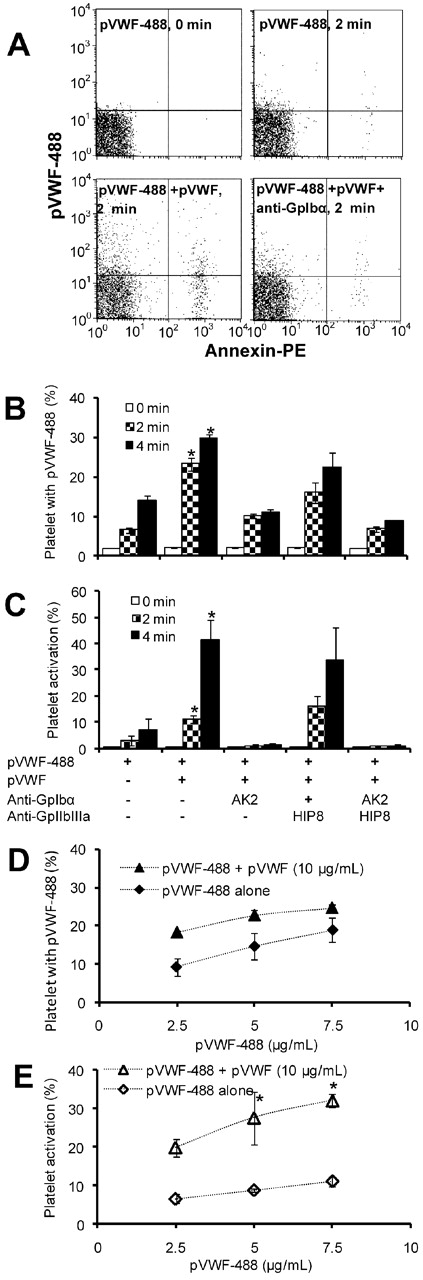 Figure 1. Cytometry detection of VWF binding and platelet activation. A total of 7.5 × 106 human platelets/mL was sheared with Alexa-488–conjugated plasma VWF (pVWF-488) in the absence or presence of unlabeled pVWF in a cone-plate viscometer at 9600/s. While pVWF-488 and pVWF were fixed at 5 μg/mL and 15 μg/mL, respectively, in panels A to C, this was varied over a wider range in panels D and E. In all cases, samples withdrawn at indicated times were incubated with CD31 PerCP-eFluor 710 and annexin-PE for an additional 5 minutes before cytometry analysis. (A) VWF (pVWF-488 or pVWF) presence and time of shear application are indicated in individual panels. All panels have 5000 events/dots. pVWF-488 and annexin V binding increases the number of events in top quadrants (top left plus top right) and right quadrants (top right and bottom right), respectively. (B) Platelets with pVWF-488 quantifies percentage of platelets having more than basal (time = 0) green fluorescence in top quadrants. (C) Platelet activation is a measure of percentage of platelets binding annexin-PE in right quadrants. (D-E) Identical to panels B and C, respectively, except for the use of a wider concentration range of pVWF-488/pVWF. As seen, pVWF-488 binding and platelet activation are augmented on addition of unlabeled pVWF. This is blocked by 25 μg/mL anti-GpIbα but not anti–GpIIb-IIIa mAb. *P < .05 with respect to all other treatments except blocking with GpIIb-IIIa mAb alone.