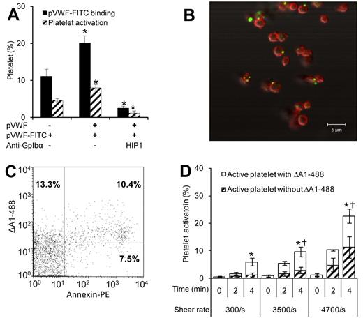 Figure 3. VWF self-association in the presence of plasma proteins and in whole blood. (A) A total of 30 × 106 platelets/mL was diluted in 100% VWF-deficient plasma, instead of HEPES buffer, along with 10 μg/mL FITC-conjugated pVWF (pVWF-FITC). The sample was sheared at 9600/s for 4 minutes, either in the presence or absence of 10 μg/mL unconjugated pVWF and anti-GpIbα blocking mAb HIP1. A total of 60 μg/mL 7E3 was present during all runs to prevent VWF interaction with GpIIb-IIIa. Samples withdrawn were incubated for 5 minutes with CD31-PE and annexin-PE/Cy5 before cytometry analysis. *P < .05 with respect to all other treatments. (B) A total of 5 μg/mL ΔA1-488 (green) was added to PRP and sheared at 9600/s for 2 minutes. Samples fixed in 0.5% paraformaldehyde were labeled with VM16d (anti-GpIbα mAb, red) and examined using confocal microscopy. (C) A total of 5 μg/mL ΔA1-488 was added to whole blood and subjected to shear at 4700/s. Samples withdrawn at 4 minutes was incubated with CD31 PerCP-eFluor 710 to identify platelets and annexin-PE to monitor cell activation. Cytometry dot plot shows ΔA1-488 bound to inactive (top left quadrant) and activated platelets (top right). (D) Distribution of active platelets either with or without ΔA1-488 bound. Percentage is based on total number of platelets read in the cytometer. *Platelet activation (top right plus bottom right) is higher at 4 minutes compared with 0 minutes at this shear rate (P < .05). †Platelet activation at 4 minutes at this shear rate is higher compared with 300/s (P < .05).