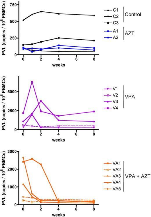 Figure 2. Combined VPA/AZT treatment is linked to a significant reduction of the PVL in STLV-1 asymptomatic carriers. The PVL (copy number/105 PBMCs) was determined by real-time PCR, as previously described.36 For a given animal, all samples were run at the same time, to avoid interexperimental variation. The values presented here are the mean of 2 independent assays. C indicates controls; A, AZT; V, valproate; and VA, valproate + AZT.
