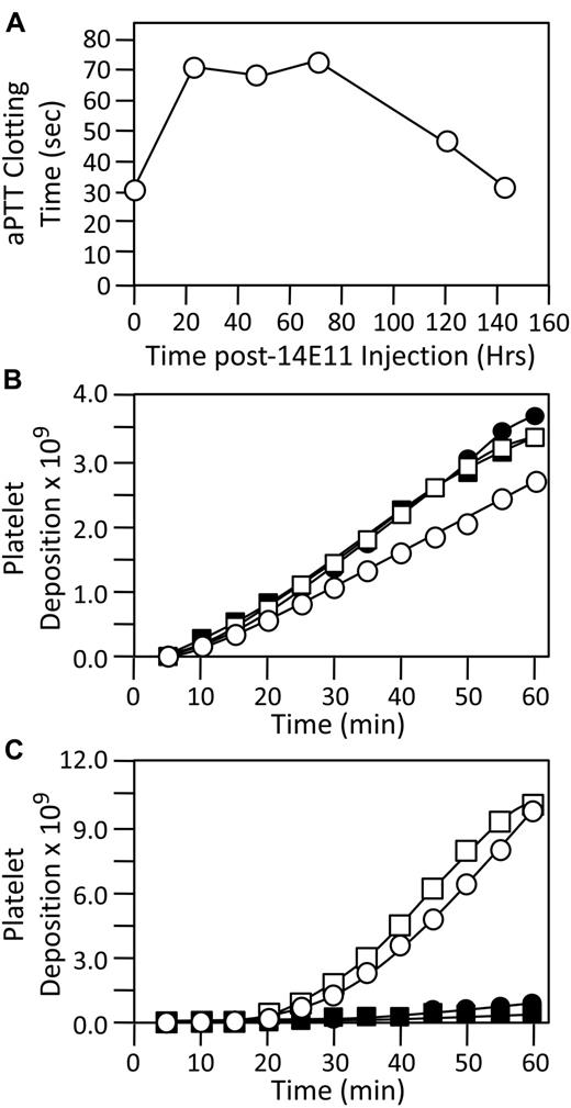 Figure 7. Baboon AV shunt thrombosis model. (A) Shown are aPTT clotting times (see “Methods”) of plasma from a male baboon treated with a single subcutaneous injection of 14E11 (1 mg/kg) at time zero. (B and C) Platelet deposition over time for 4 separate collagen coated grafts, 2 inserted into the shunt before treatment with 14E11 (○, □) and 2 inserted 24 hours after a 1-mg/kg subcutaneous dose of 14E11 (●, ■). Deposition of 111I-labeled platelets was measured with a gamma scintillation camera, as described in “Methods.” Panel B shows accumulation of platelets within the graft, while panel C shows the bulk of platelet accumulation in a thrombus forming in the 10 cm immediately downstream of the graft.