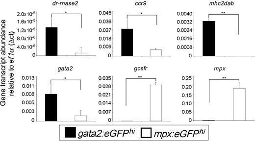 Figure 3. gata2hi and mpxhi granulocytes differentially express genes that are important for eosinophil or neutrophil development and function, respectively. gata2hi and mpxhi cells were isolated by FACS (purity ≥ 95%) from WKM. Transcript abundance was measured from either gata2hi (black bars) or mpxhi cells (white bars) by quantitative polymerase chain reaction analysis. Expression of the gene of interest was normalized to that of ef1α. Data are mean ± SD (n = 3 or 4). *P < .05. **P < .001.