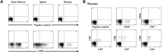 Figure 3. Representative flow cytometric analysis of human cell engraftment of an NSG mouse transplanted with human double-unit CB and gated on live cells. (A) Fluorescence-activated cell sorter analysis of the murine BM, spleen, and thymus after staining with PE-conjugated anti–human CD45 antibodies. (Bottom panel) Percentage of human CD45+ cells (51.8% in BM, 32.5% in spleen, and 7.1% in thymus). Analysis of murine BM revealed that the majority (71%) of human CD45+ cells were CD19+ (B lymphocytes), 6% CD33+ (myeloid cells), 3% CD34+, and less than 1% CD56+ (NK cells; data not shown). Staining for monocytes, erythroid cells, and megakaryocytes was not performed. (B) Human T-cell engraftment in the murine thymus. Of the human CD45+ cells, the majority were CD4+/CD8+.