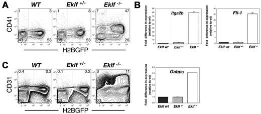 Figure 4. Aberrant expression of megakaryocyte-related adhesion proteins and transcription factors in Eklf-null mutant EryP. CD41 (A) and CD31 (Pecam-1, C) protein were up-regulated on EryP/H2B-GFP from Eklf-null E13.5 embryos. (B) Genes encoding the integrin CD41 (Itga2b) and the megakaryocyte transcription factors Fli-1 and Gabpa were strongly up-regulated in EryP sorted from Eklf-null mutant E13.5 embryos, as analyzed using real-time RT-PCR.