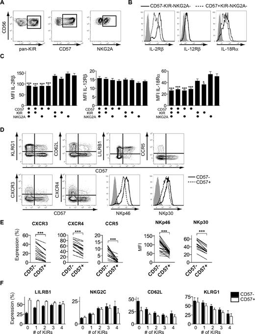 Figure 5. Phenotypic characteristics of differentiating CD56dim NK cells. (A) Boolean gating scheme to identify CD57-, pan-KIR- (KIR2DL1, KIR2DL3, KIR3DL1, and KIR3DL2), and NKG2A-expressing cells within CD56dim NK cells. (B) Representative staining for expression of IL-2Rβ, IL-12Rβ, and IL-18Rα on CD57−KIR−NKG2A− and CD57+KIR−NKG2A− CD56dim NK cells. Isotype control in gray. (C) Mean fluorescence intensity (MFI) of IL-2Rβ, IL-12Rβ, and IL-18Rα on different CD56dim NK-cell subsets (n = 10; *P < .05, ***P < .001, for indicated groups vs CD57−KIR−NKG2A+, 1-way ANOVA with Bonferroni posttest; mean ± SEM). (D) Representative costaining for expression of CD57 and the indicated receptors on CD56dim NK cells. Isotype control in gray. (E) Frequency of CXCR3-, CXCR4-, and CCR5-expressing cells (left) and MFI of NKp46 and NKp30, respectively, within the CD57− and CD57+ NK-cell population (n = 16-23; ***P < .001). (F) Expression of LILRB1, NKG2C, CD62L, and KLRG1 on CD57− and CD57+ CD56dim NK-cell subsets expressing 0-4 KIRs (n = 36-146 for LILRB1 and NKG2C and 6-36 for CD62L and KLRG1; mean ± SEM).