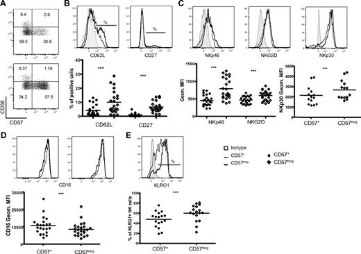 Figure 1. CD57−CD56dimCD16+ NK cells are phenotypically less mature than CD57+ NK cells. (A) Flow cytometry was performed on total PBMCs, and CD3−CD56+ NK cells were gated (as shown in supplemental Figure 1) and analyzed for expression of CD57 and CD56. Two representative donors are shown. (B-E) Flow cytometry was performed on total PBMCs, and CD56dimCD16+ NK cells were gated on CD57+ and CD57− cells that were assessed for expression of different markers. Representative histograms for each marker are shown (shaded area represents isotype-matched control Ig; thin line, CD57+; and bold line, CD57−). The percentage of cells expressing CD62L and CD27 (B) and KLRG1 (D) was determined on each subset. The gMFI of NKp46, NKp30, NKG2D (C) and CD16 is shown (E). ● represents CD57+; and ◇, CD57−. ***P < .0005. (B-E) P values were determined comparing CD57+ and CD57− NK cells (n = 23, for KLRG1 n = 18 and for NKp30 n = 14).