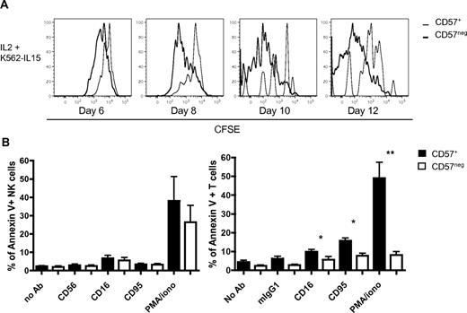 Figure 5. CD57+CD56dimCD16+ NK cells proliferate less than CD57−CD56dimCD16+ NK cells in vitro but are not more sensitive to AICD. (A) CD57+ and CD57− sorted NK cells were CFSE-labeled and cultured in 100 IU/mL IL-2 with K562 cells expressing membrane-tethered IL-15 and 4-1BBL. Cells were analyzed by flow cytometry at different time points. Representative histograms of CFSE dilution over time (thin line represents CD57+; and bold line, CD57−; n = 7 for A, n = 3 for B). (B) Total PBMCs were activated with plate-bound antibodies (10 μg/mL) in 200 IU/mL IL-2 for 6 hours. Flow cytometry was performed, and CD56dimCD16+ NK cells were gated on CD57+ and CD57− cells. The percentages of cells expressing annexin V were determined for each subset (black bars represent CD57+; and white bars, CD57−). *P < .05. **P < .005. P values were determined between CD57+ NK cells and CD57− NK cells (n = 5).