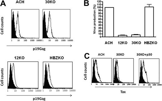 Figure 2. 12KO, 30KO, and HBZKO infectivity in primary human DCs. (A) The level of entry of HTLV ACH (WT), 30KO, 12KO, and HBZKO virions was determined by intracellular staining for the p19 Gag protein (white histogram) by fluorescence-activated cell sorting at 16 hours after virus exposure. The black histogram represents the staining of cells with the isotype control antibody. (B) Level of infection of DCs at 14 days after virus exposure, determined by the concentration of viral particles in the culture supernatant by the p19 Gag enzyme-linked immunoabsorbent assay. The results are presented as the percentage of HTLV-1 WT expression of the viral mutants. (C) Infection of DCs by 30KO in the presence (right) and absence (middle) of coexpression of the p30 c-DNA relative to WT HTLV (left), determined by the level of intracellular Tax at 1 week after infection. The black histogram refers to the antibody isotype control and the white histogram to the staining with the anti-Tax antibody.