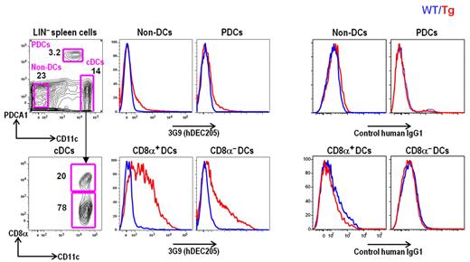 Figure 3. Targeting of 3G9 to DCs in vivo. Wild-type and hDEC205 Tg mice were injected intraperitoneally with Alexa 647–labeled 3G9 or human IgG1 isotype (30 μg per mouse). Twelve hours later, lymphocyte lineage-negative (LIN−) splenic cell suspensions were stained with the indicated antibodies. In the histograms, blue is for wild-type (WT) and red for hDEC205 Tg mice (Tg).