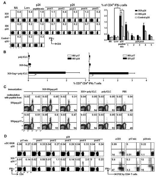 Figure 5. hDEC205 targeting with adjuvant induces Gag-specific CD4+ T-cell responses. (A) hDEC205 Tg mice were injected intraperitonally with 10 μg of purified 3G9-HIV Gag p24, 3D6-p24, or control Ig-p24 fusion mAbs along with 50 μg of poly IC and 25 μg of anti-CD40 mAb. After 2 weeks, splenic T-cell responses to pools of p24 peptides were analyzed. FACS plots from a representative experiment and histograms from 3 independent experiments are shown in percentiles of CD3+, IFN-γ–producing CD4+ T cells; similar results were obtained for IL-2–producing cells (not shown). Asterisks for statistically significant changes (*P ≤ .05, **P ≤ .01). (B) As in panel A, but prime-boost immunizations with 3G9-HIV Gag p24 (left, in blue) or 3G9-SIV Gag p27 (right, in red), plus only poly ICLC as an adjuvant. (C) SIV Gag p41 was the immunizing antigen to test responses to p17 and p27 regions of Gag. (D) As in panel A, showing IFN-γ–producing T cells after immunization with 3G9-HIV Gag p24, but not control anti-human DC-SIGN-p24 (left), and also specific proliferation (CFSE dilution) to HIV Gag p24, not HIV Gag p17 peptides (right). hDEC205 Tg in C57BL/6 background (A-C) and crossed with B10.BR (D).