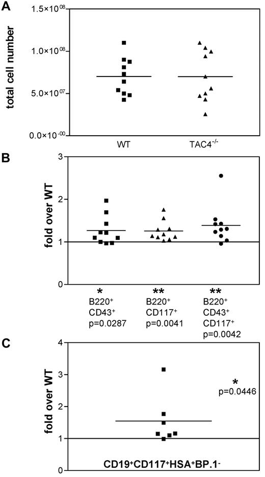 Figure 2. Analysis of TAC4−/− and WT bone marrow. (A) Scatter gram representing the absolute number of bone marrow cells recovered from WT and TAC4−/− mice. (B) Four-color FACS analysis was performed on total bone marrow samples. The fold change of TAC4−/− B-cell populations compared with WT B-cell populations is shown based on percentage. (C) The fold change of the CD19+CD117+HSA+BP.1− “fraction B” pro-B-cell population compared with WT “fraction B” is shown based on the cell number of sorted cells. Means, P values, and levels of significance are indicated (n = 7-10). *P < .05. **P < .005. P values were calculated from percentages using paired 2-tailed t tests (GraphPad Prism software Version 3.0).